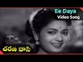 Ee Daya Video Song Charana Daasi Telugu Movie ANR NTR Anjali Devi Savitri
