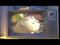 Toy Story 2 Al McWhiggin S Defeat VHS Capture 1999