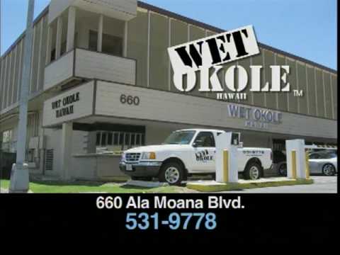 Wet Okole Car Seat Covers