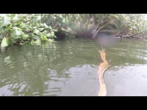 DÍA DE PESCA CON CHINO Y DIEGO