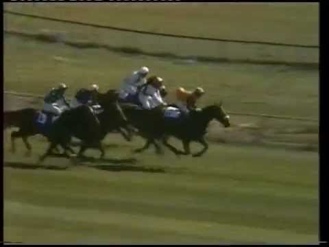 1980 William Hill Scottish National Handicap Chase