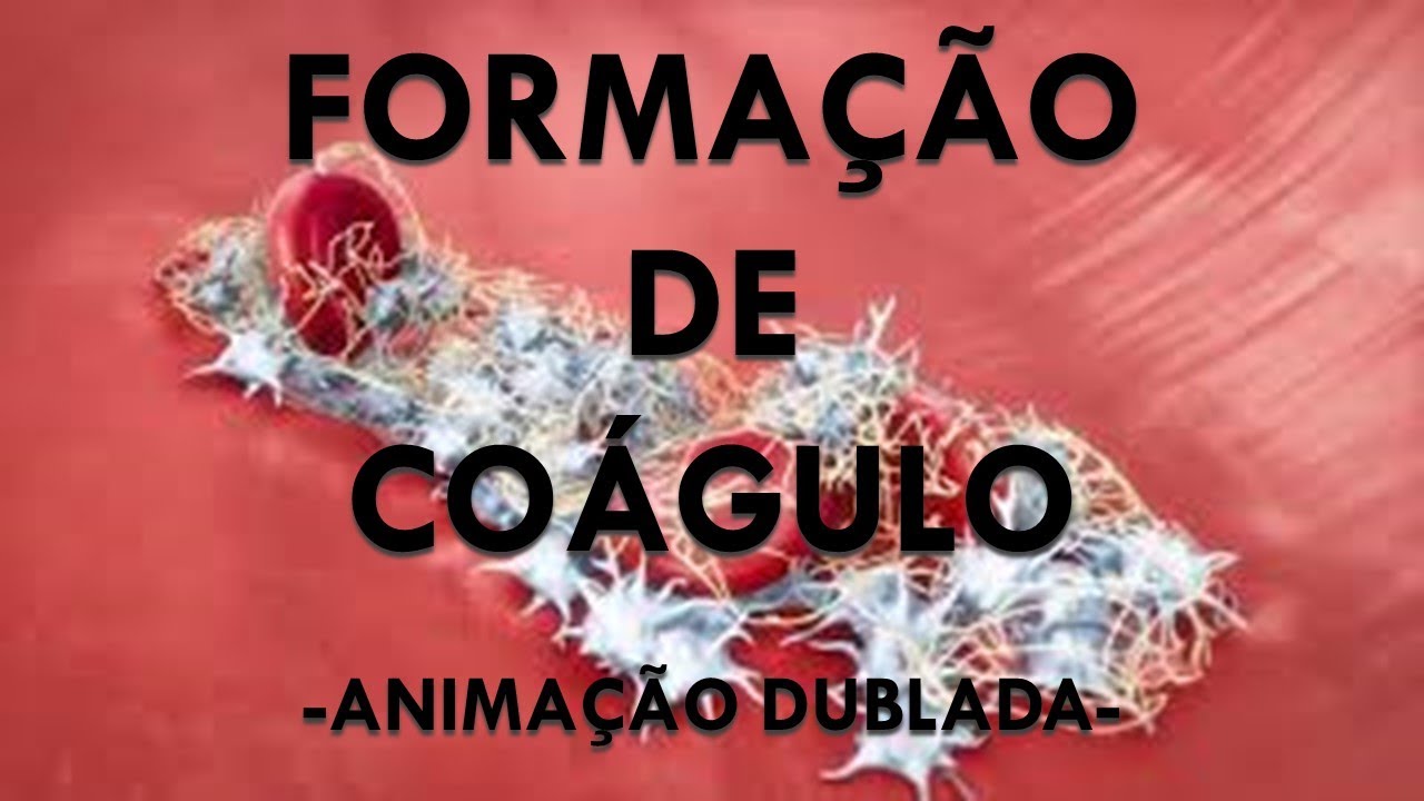 FORMAÇÃO DO COÁGULO SANGUÍNEO - Fatores de coagulação e plaquetas. Animação Dublada