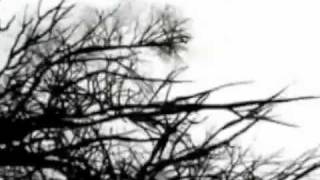 Scarred - Johnette Napolitano. . Concrete Blonde. .