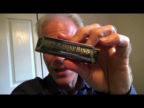 Which harmonica should a beginner use--and NOT use?