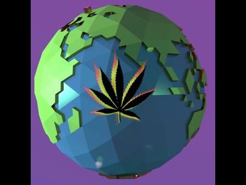 SUPERIOR NOIR X NANE X JUNKY X MOTZU - ZI DE ZI