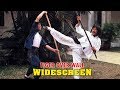 Wu Tang Collection Tiger Over Wall WIDESCREEN Mandarin With English Captions