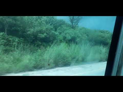 Noor jahan songs 08-09-2020