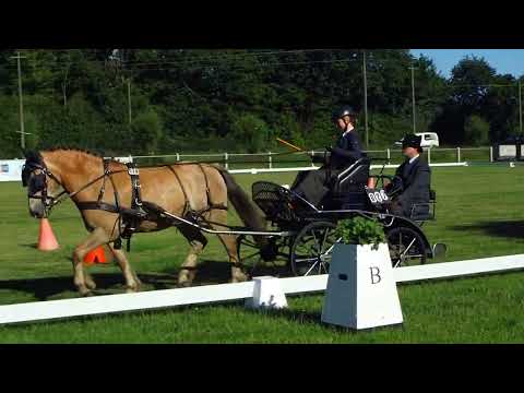 Fahrturnier Dörenthe 12.6.2022