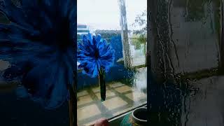 Download lagu HUJAN YANG ROMANTIS ‼️VIDEO MENTAHAN mp3