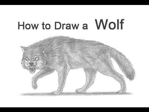download lagu mp3 mp4 Growling Wolf Drawing, download lagu Growling Wolf Drawing gratis, unduh video klip Growling Wolf Drawing