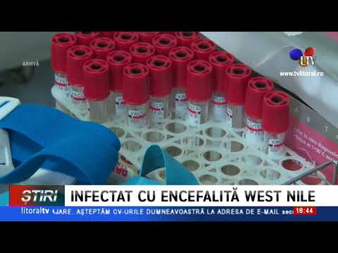 Primul caz de encefalită West Nile în județul Constanța - Litoral TV