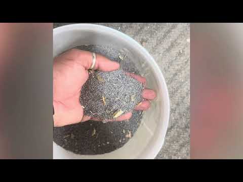 How to make Bhukhi from Dodday.