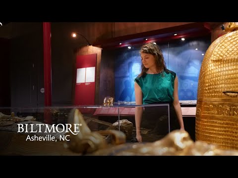 A Closer Look at "Tutankhamun: His Tomb and His Treasures" | Biltmore