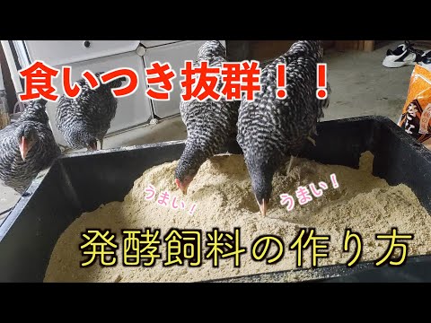 産卵鶏用の小麦を発芽させるにはどうすればよいですか？利点は何ですか?  庭園