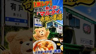 【激レア】線路のドクター「マルタイ」に出会う奇跡！【JR大湊線・有戸駅】青森県　昼間の無人駅になぜ？？