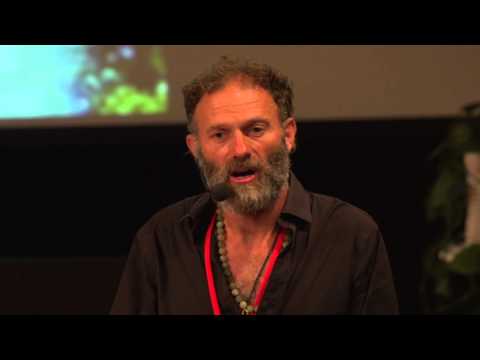 TEDxByronBay 2013 - Dan Shreiber