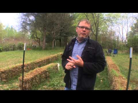 StrawBale Garden 2: Post Conditioning