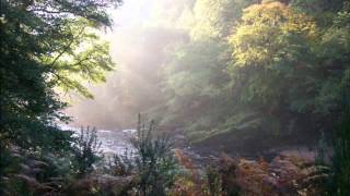 Qualquer Coisa a Ver com o Paraíso - Flavio Venturini