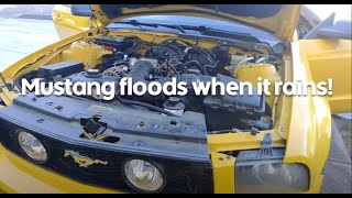 Ford Mustang water leak passenger side solved! Easy free fix!