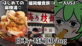 USJホラーアトラクションを一人でめぐる日本一時帰国Vlog🇯🇵