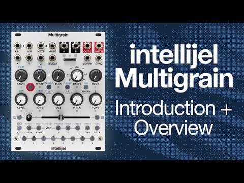 Intellijel Multigrain Eurorack Granular Sampler - NICE! image 5