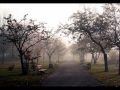 the legendary pink dots - sterre
