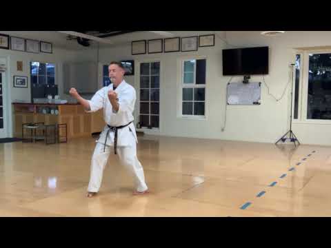 Goju Ryu Seisan Kata Abridged Version