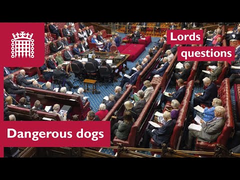 Banning dangerous dogs: Lords presses government for action | House of Lords