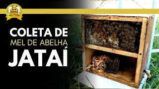 Miniatura do vídeo