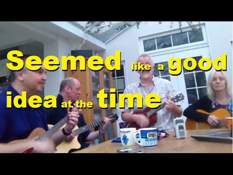 Seemed like a good idea at the time original song