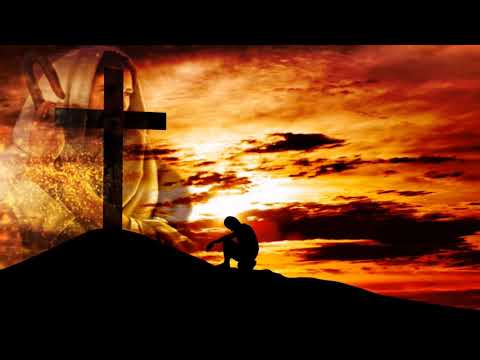 Xin cho con dừng chân - Tấn Đật