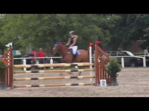 Springprüfung A**, Eggenstein, 27.05