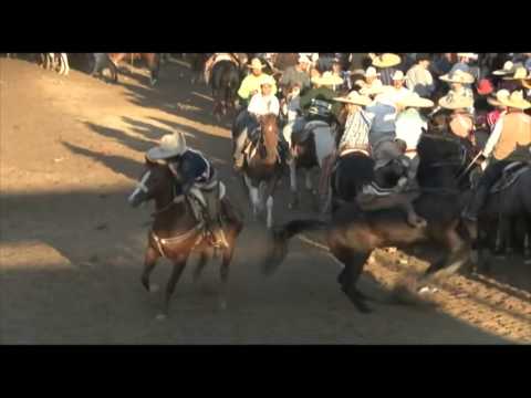 Sustos y caidas de los Coleaderos