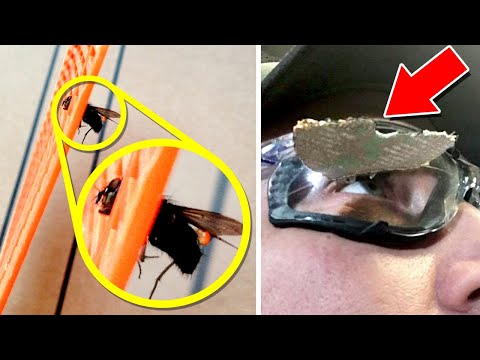 One in a Million Coincidences - Part 5