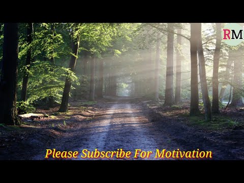 Beautiful Relaxing Music with nature sound and stress releasing 🌷🌷Rashika Music
