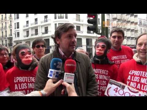 España: hay que ser muy simio para que no te aborten