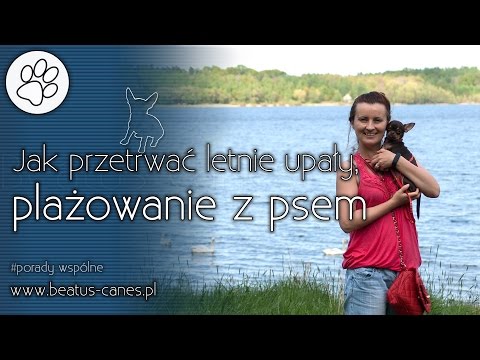 Zapalenie ścięgien mięśni naramiennych Ćwiczeń dla wszystkich grup mięśniowych