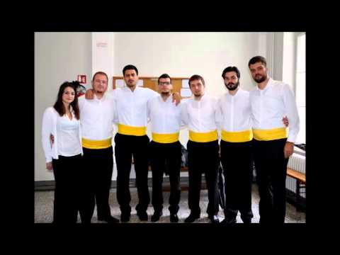 klapa Študija - Jesi lipa, vilo moja