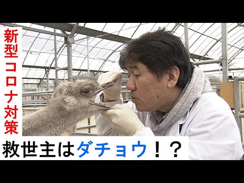 驚くべきコロナ防御:研究者が新たな発見