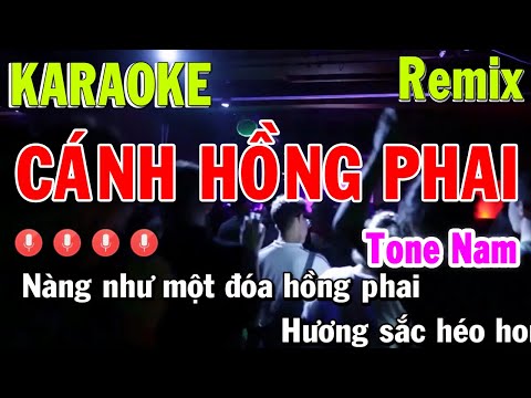Cánh Hồng Phai Karaoke Remix Tone Nam - Beat Chất Lượng Cao