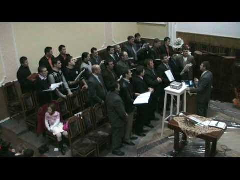 COR BARBATESC MOISEI