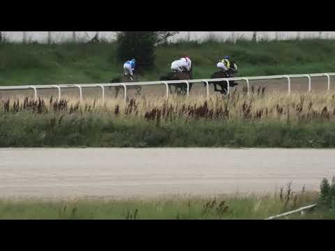 Trka "Vladislav Ribnikar" 21.06.2020 DREAMY RASCAL - Milan Konkolj