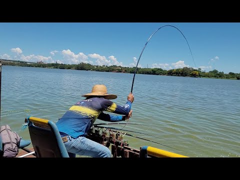 O GRANDE DESAFIO: CAPTURAR PEIXE GRANDE COM EQUIPAMENTOS LEVE
