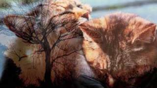 My old pals -  KIM CARNES