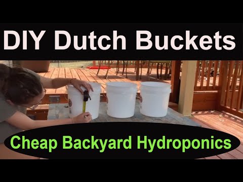 Build a Dutch Bucket Hydroponic system in a few hours