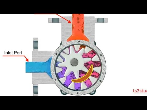 Animated Tooth Internal Gear Pump