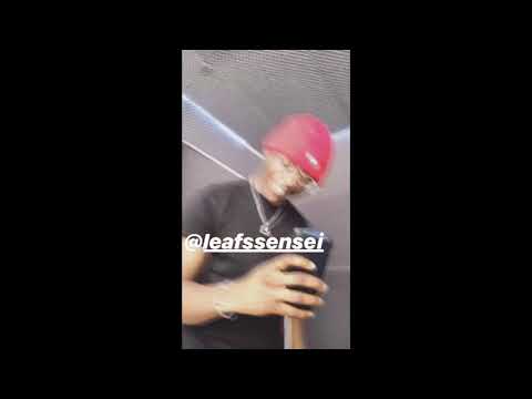 Famke Louise & Leafs - Peng (Snippet)