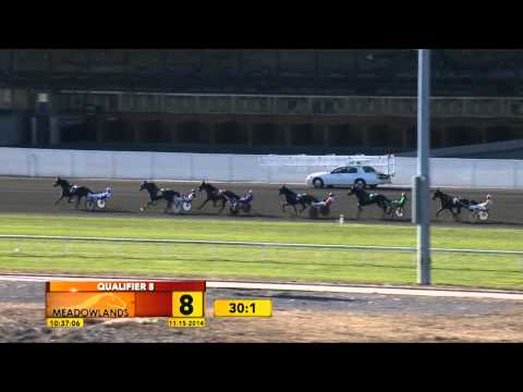 Meadowlands Qualifier #8 - Shadios - November 15, 2014