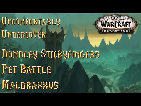 Uncomfortably Undercover - Dundley Stickyfingers - WoW Shadowlands