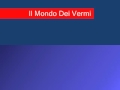 Closing To The World Of Worms Italian Classics Bootleg 1978 VHS